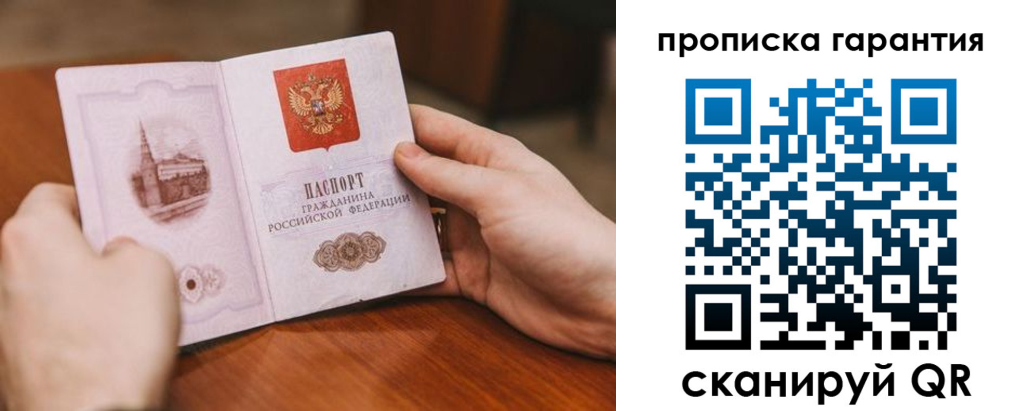 прописка поиск в Людиново
